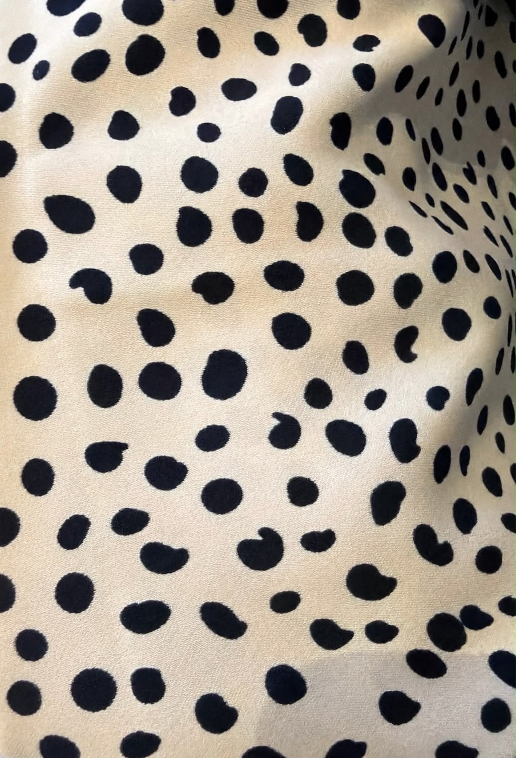 Printed Mini Skirt